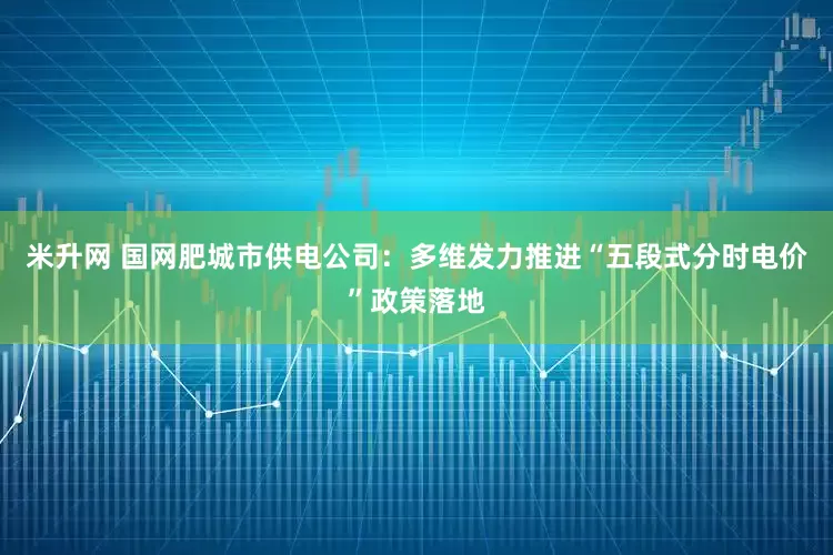 米升网 国网肥城市供电公司：多维发力推进“五段式分时电价”政策落地