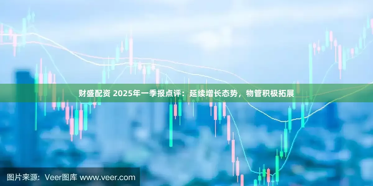 财盛配资 2025年一季报点评：延续增长态势，物管积极拓展
