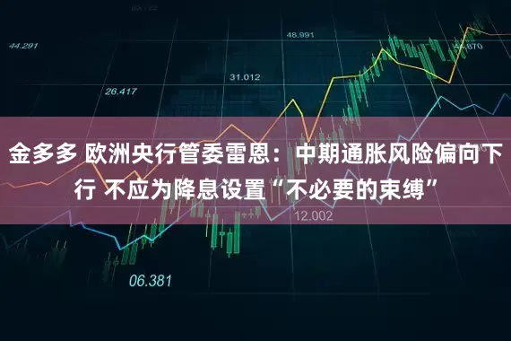 金多多 欧洲央行管委雷恩：中期通胀风险偏向下行 不应为降息设置“不必要的束缚”